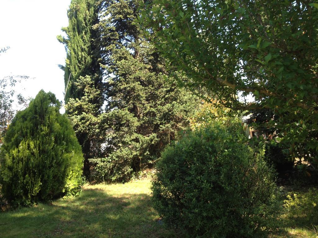 Vila Il Belvedere Di Roccavo Castiglion Fiorentino Exteriér fotografie